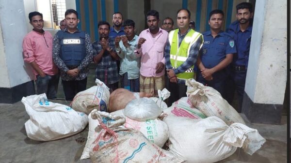 বানিয়াচংয়ে ৮ মন চোলাই মদসহ ৩ মাদক কারবারি গ্রেফতার