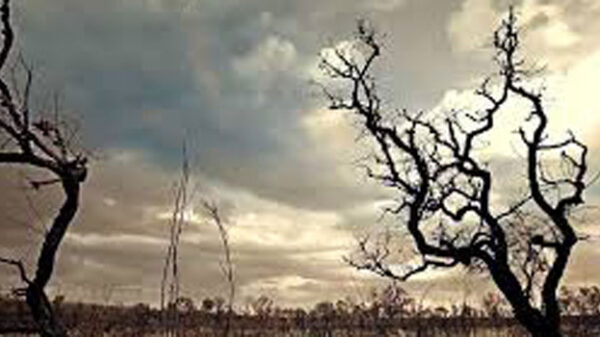 বিনাশী খেলা